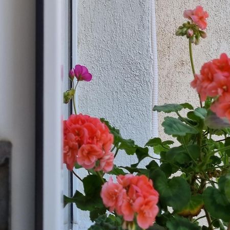 Ferienwohnung Miruna Constanţa Exterior foto